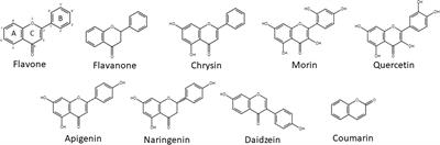 Predominant Biphenyl Dioxygenase From Legacy Polychlorinated Biphenyl (PCB)-Contaminated Soil Is a Part of Unusual Gene Cluster and Transforms Flavone and Flavanone